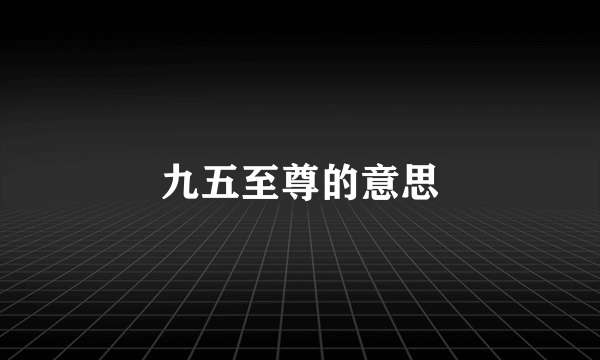 九五至尊的意思