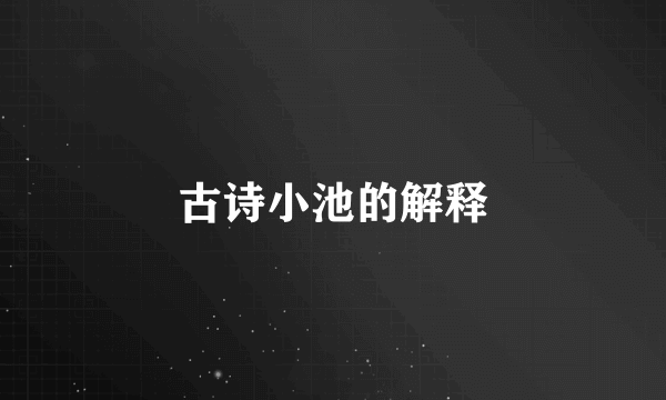 古诗小池的解释