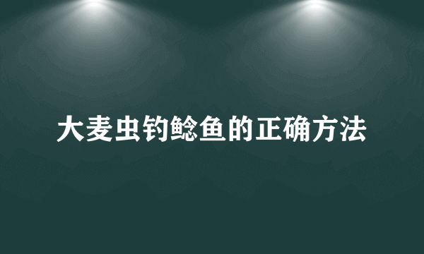 大麦虫钓鲶鱼的正确方法