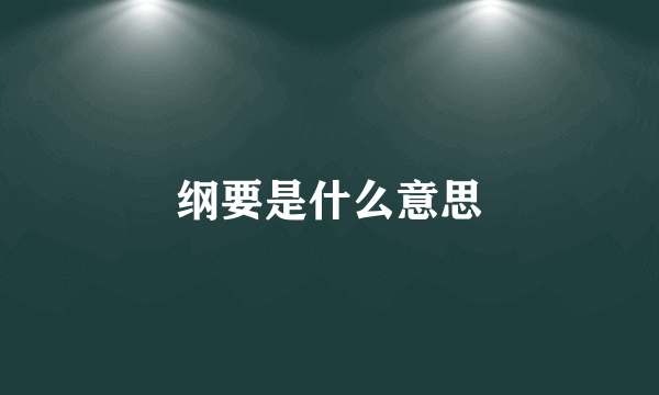 纲要是什么意思