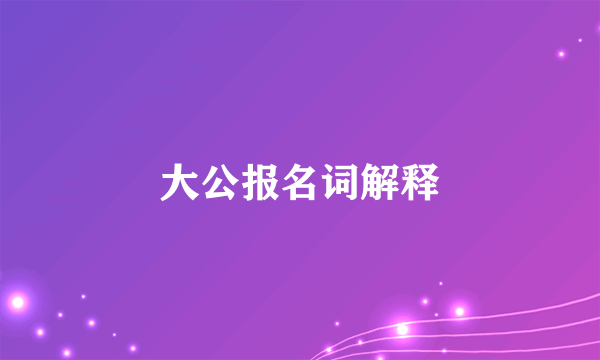 大公报名词解释