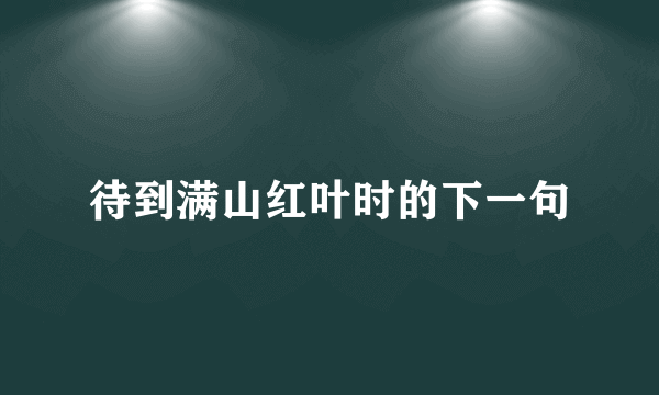待到满山红叶时的下一句