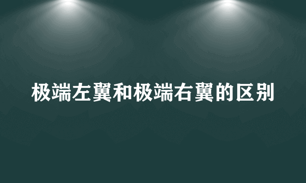 极端左翼和极端右翼的区别