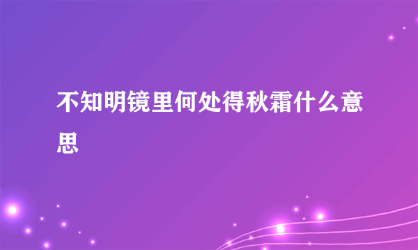 不知明镜里何处得秋霜什么意思