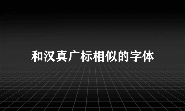 和汉真广标相似的字体