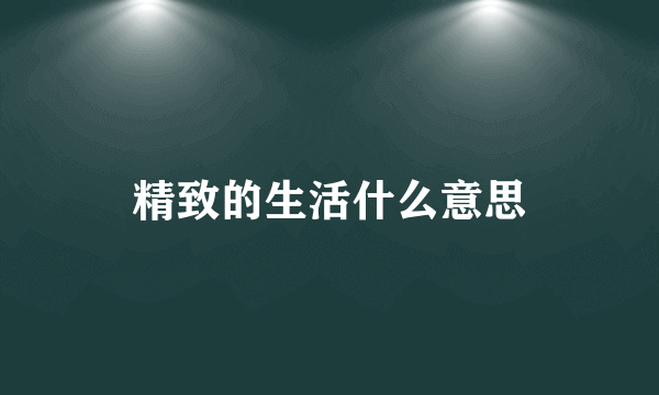精致的生活什么意思