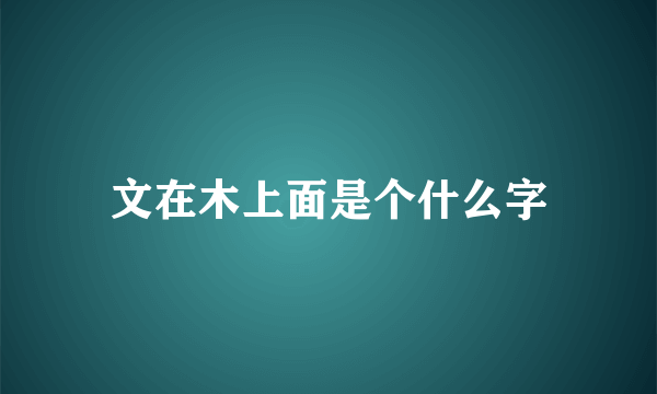 文在木上面是个什么字