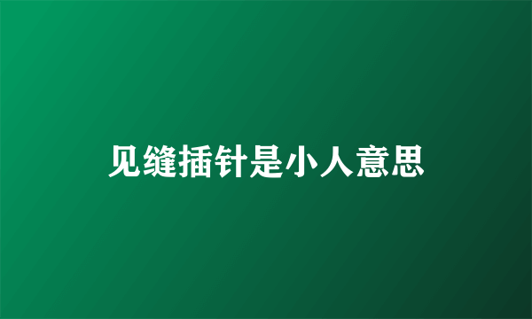 见缝插针是小人意思