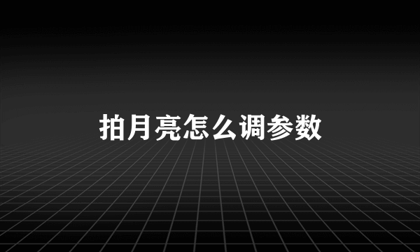 拍月亮怎么调参数