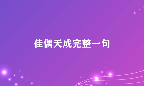 佳偶天成完整一句