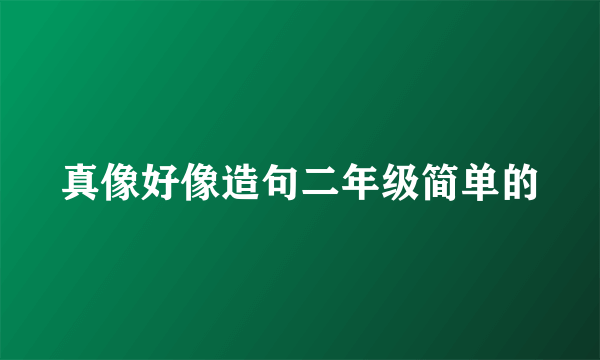 真像好像造句二年级简单的