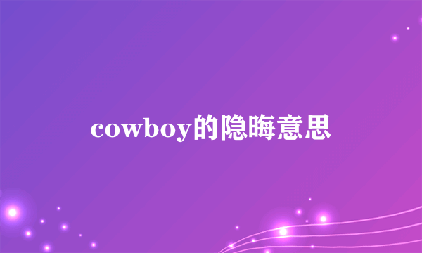 cowboy的隐晦意思