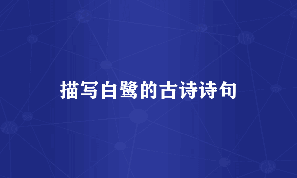 描写白鹭的古诗诗句