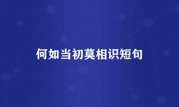 何如当初莫相识短句
