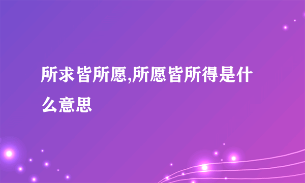 所求皆所愿,所愿皆所得是什么意思