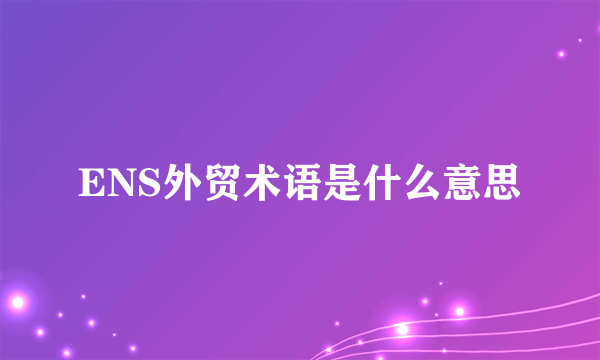 ENS外贸术语是什么意思