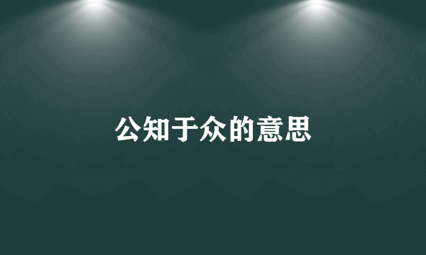 公知于众的意思
