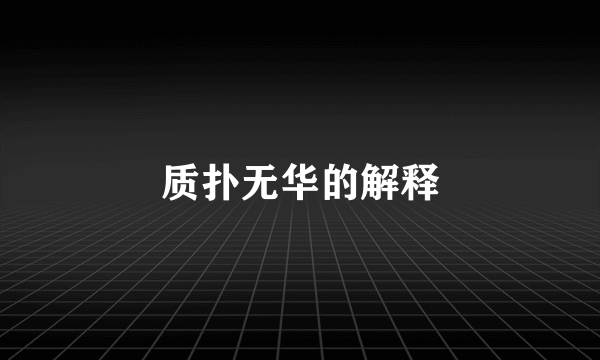 质扑无华的解释