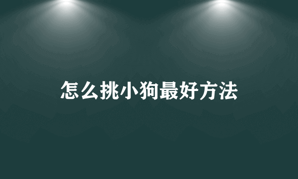 怎么挑小狗最好方法