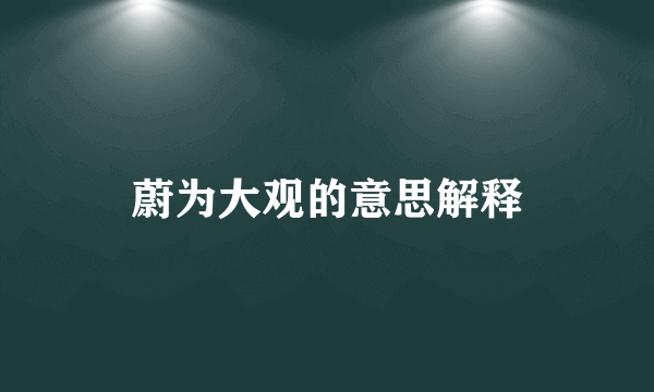 蔚为大观的意思解释