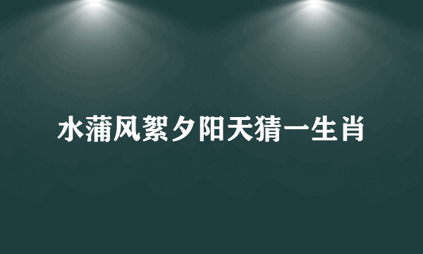 水蒲风絮夕阳天猜一生肖