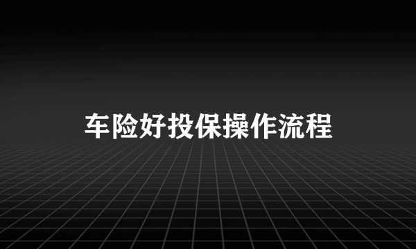 车险好投保操作流程