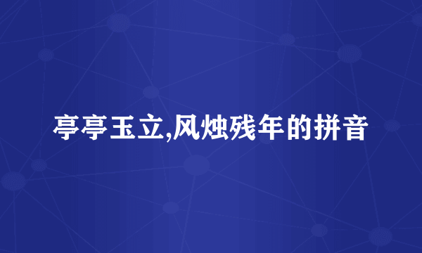 亭亭玉立,风烛残年的拼音