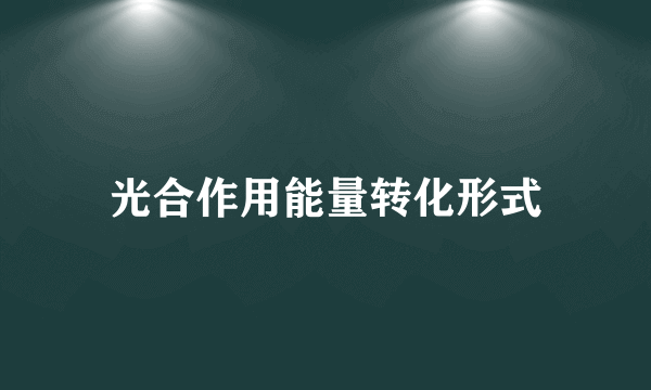 光合作用能量转化形式