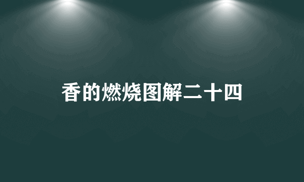 香的燃烧图解二十四