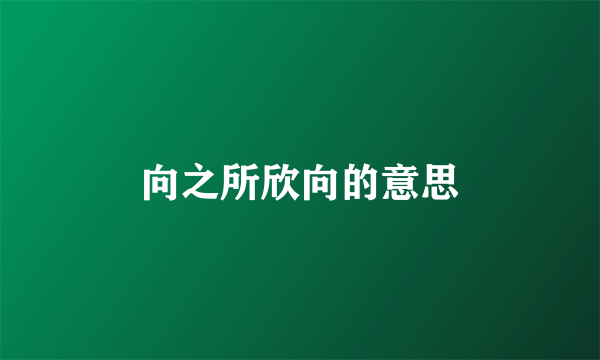 向之所欣向的意思