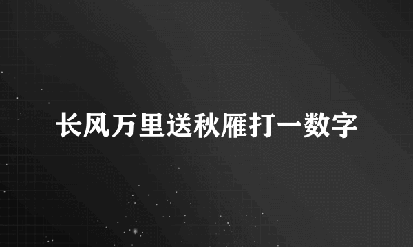 长风万里送秋雁打一数字