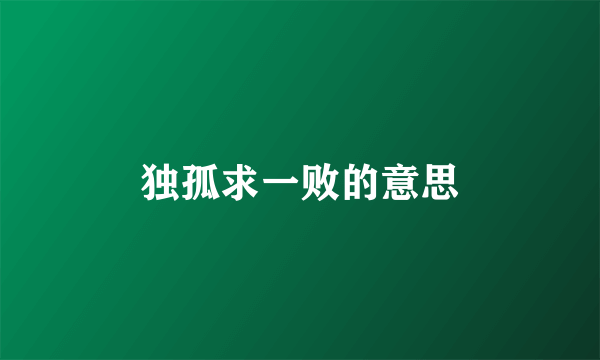独孤求一败的意思