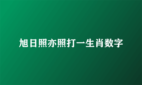 旭日照亦照打一生肖数字