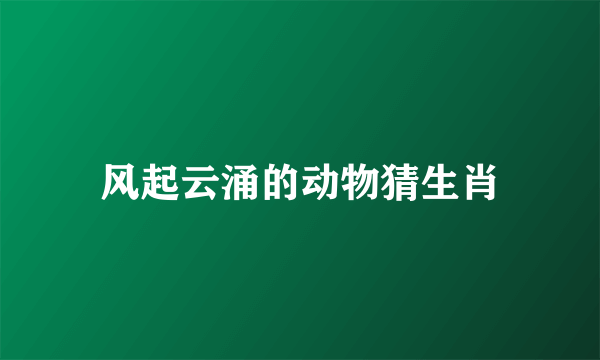 风起云涌的动物猜生肖