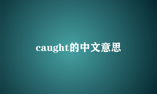 caught的中文意思