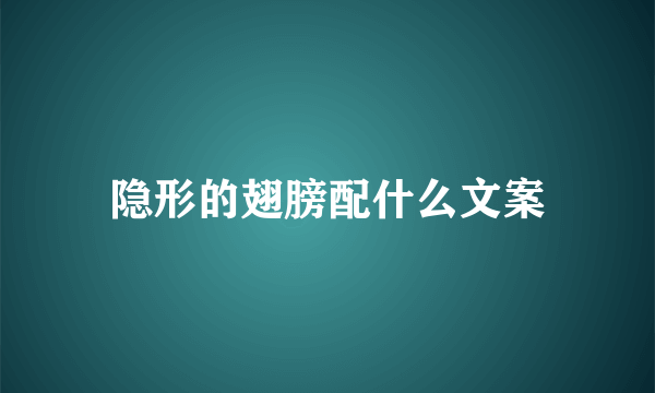 隐形的翅膀配什么文案
