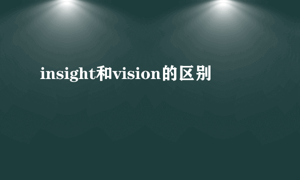 insight和vision的区别
