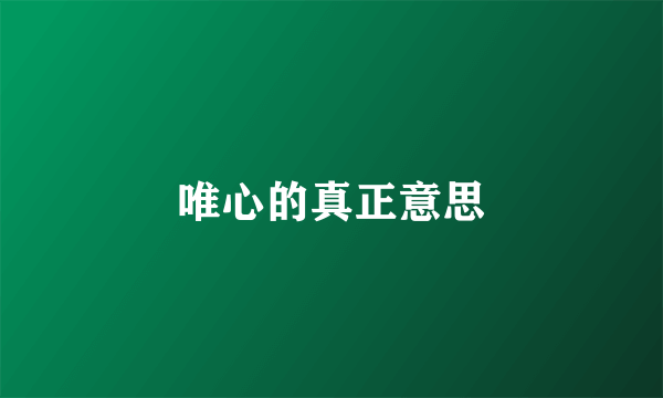 唯心的真正意思
