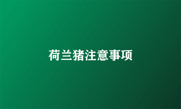 荷兰猪注意事项