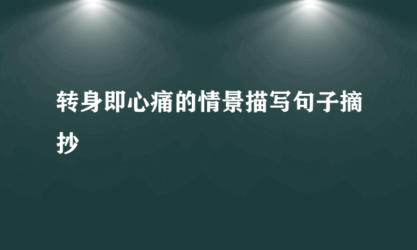 转身即心痛的情景描写句子摘抄