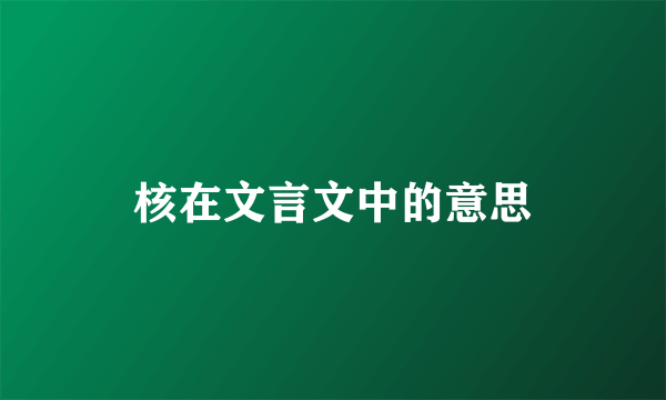 核在文言文中的意思