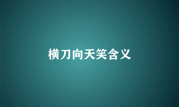横刀向天笑含义