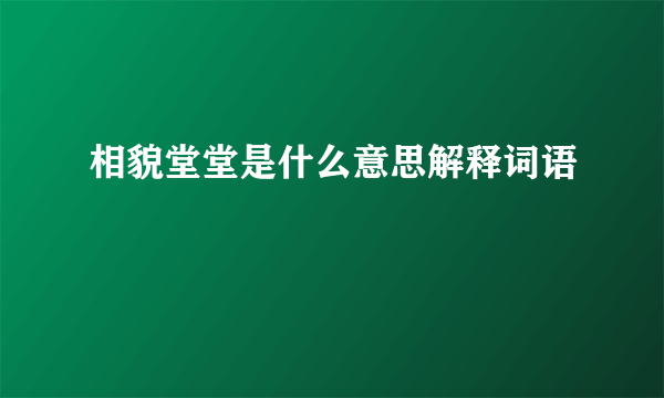相貌堂堂是什么意思解释词语