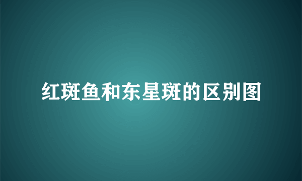 红斑鱼和东星斑的区别图