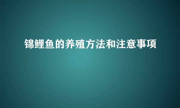 锦鲤鱼的养殖方法和注意事项