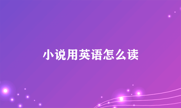 小说用英语怎么读