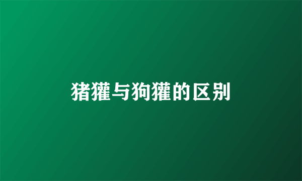 猪獾与狗獾的区别