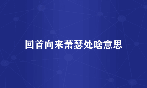 回首向来萧瑟处啥意思