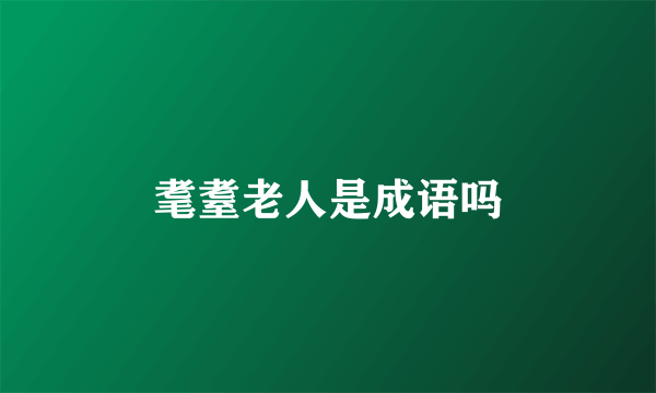 耄耋老人是成语吗