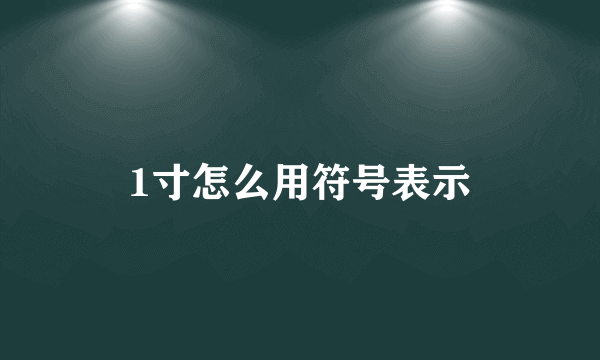 1寸怎么用符号表示